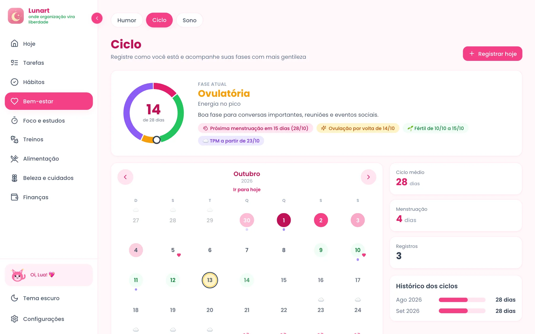 Tela de Ciclo no computador